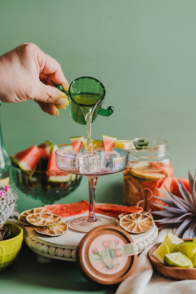 Cactus Cooler Infusion Kit
