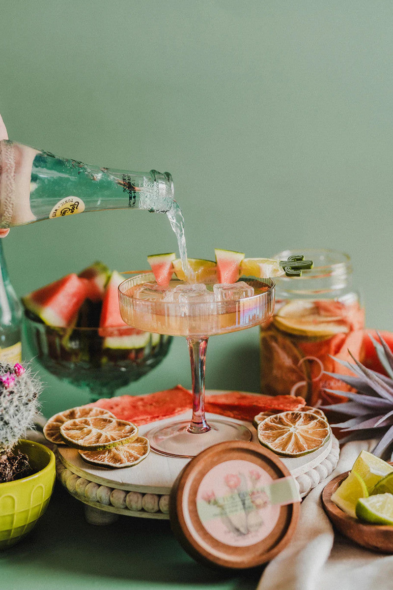 Cactus Cooler Infusion Kit