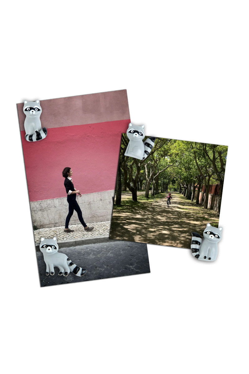 Racoon 4PK Magnets