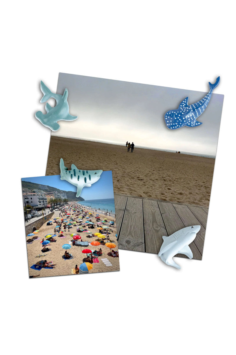 Shark 4PK Magnets