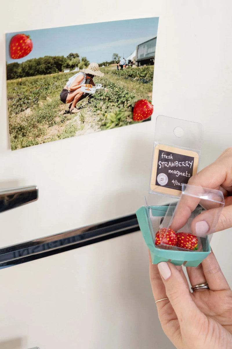 Strawberry 4PK Magnets