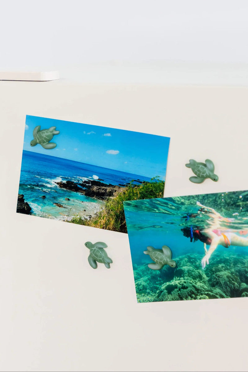 Turtle 4PK Magnets