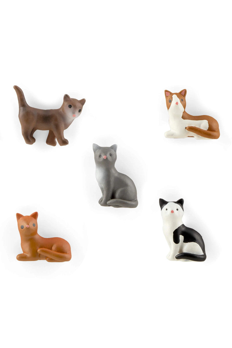 Cat 5PK Magnets