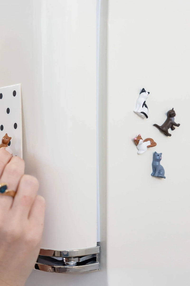Cat 5PK Magnets