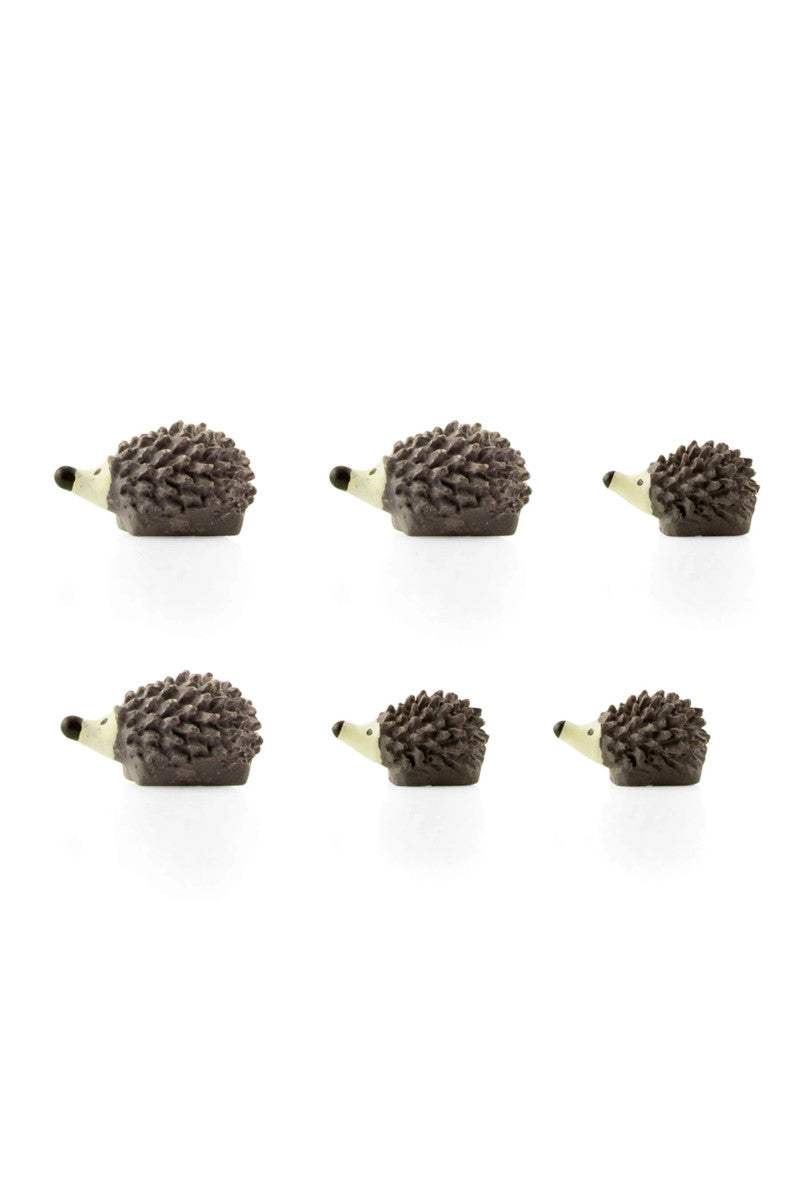 Hedgehog 6PK Magnets