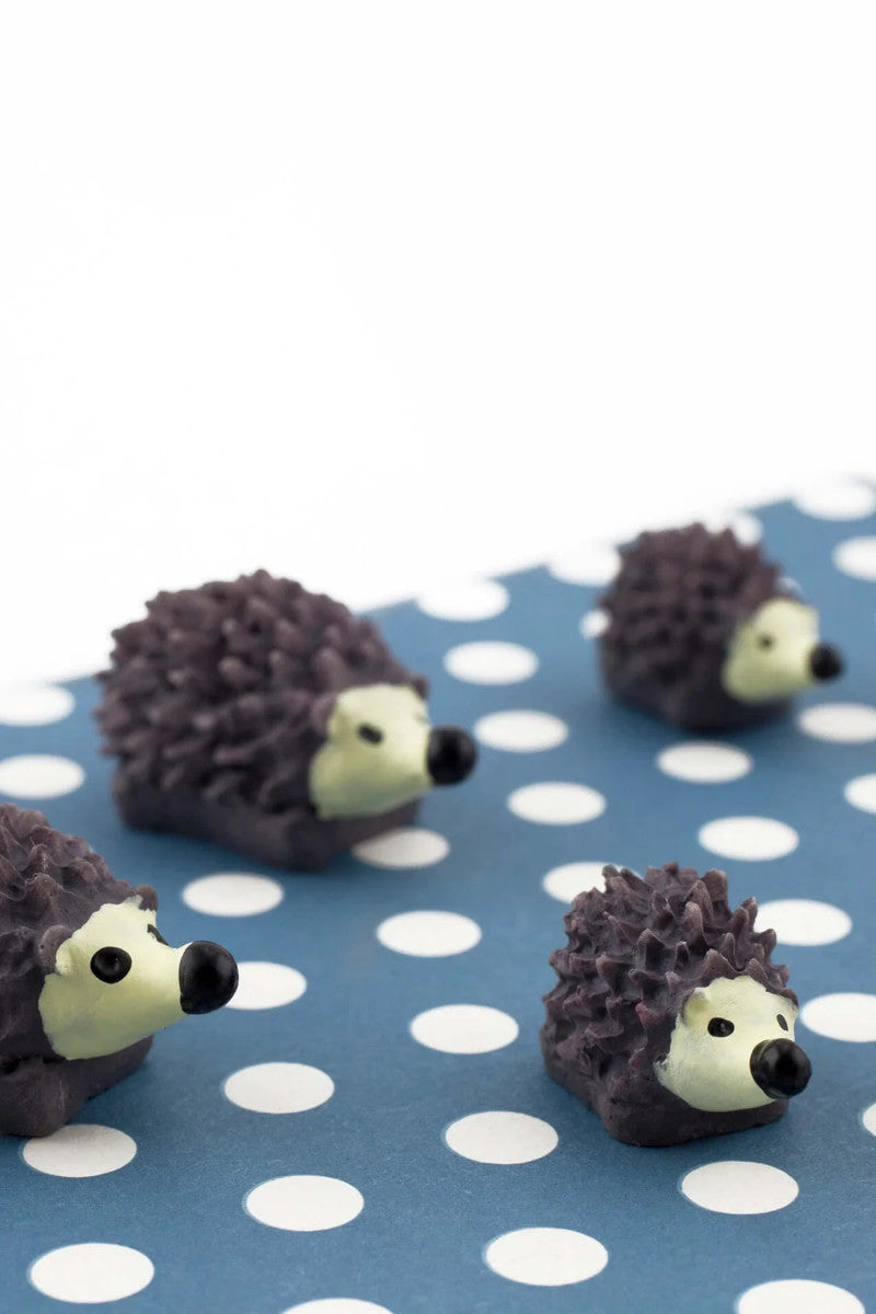 Hedgehog 6PK Magnets