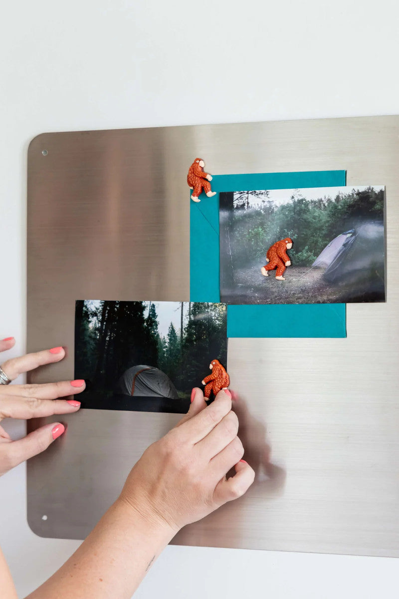 Sasquatch 3PK Magnets
