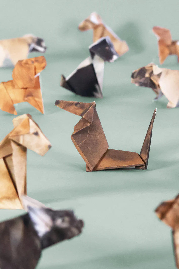 Paper Pups Origami Kit