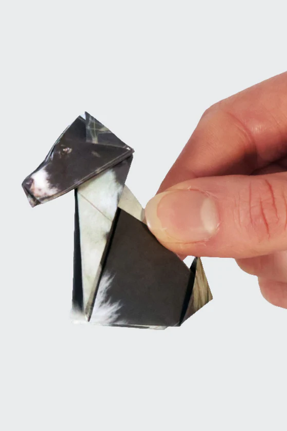 Paper Pups Origami Kit