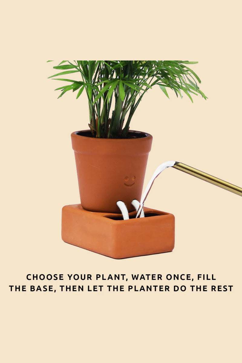 Self Care Planter