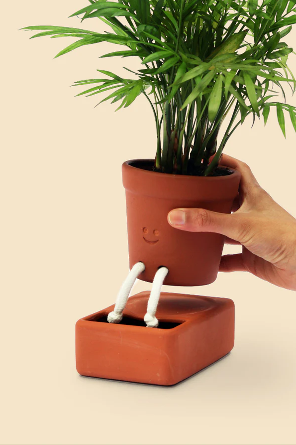 Self Care Planter