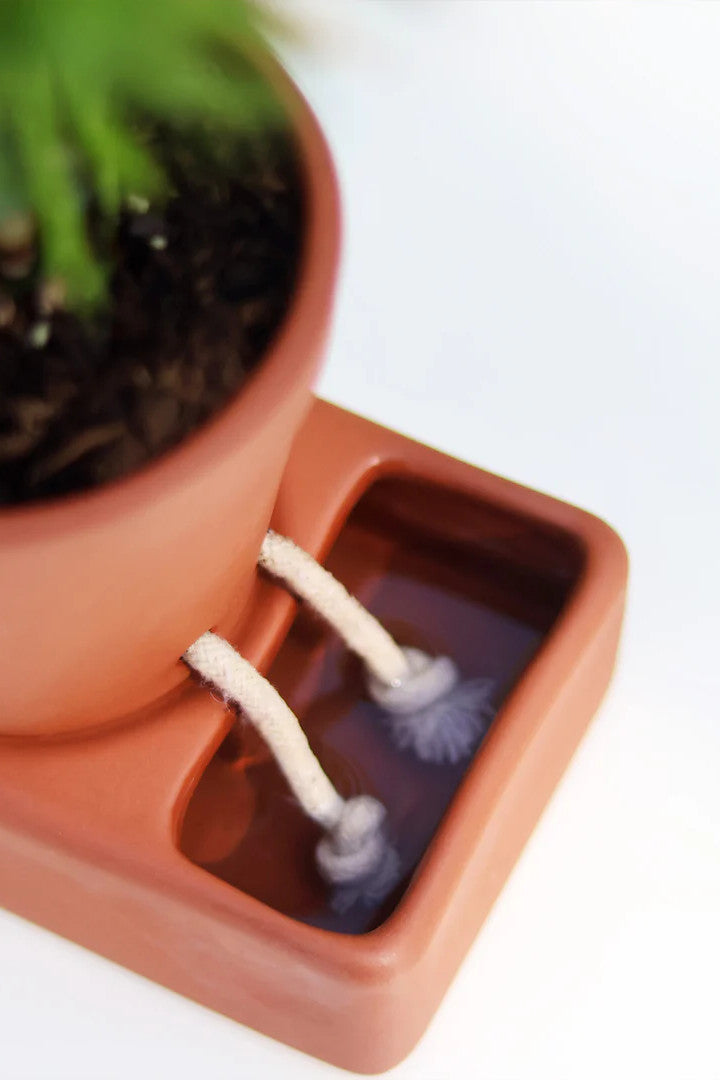 Self Care Planter