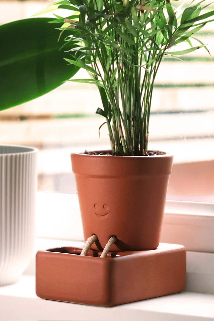 Self Care Planter