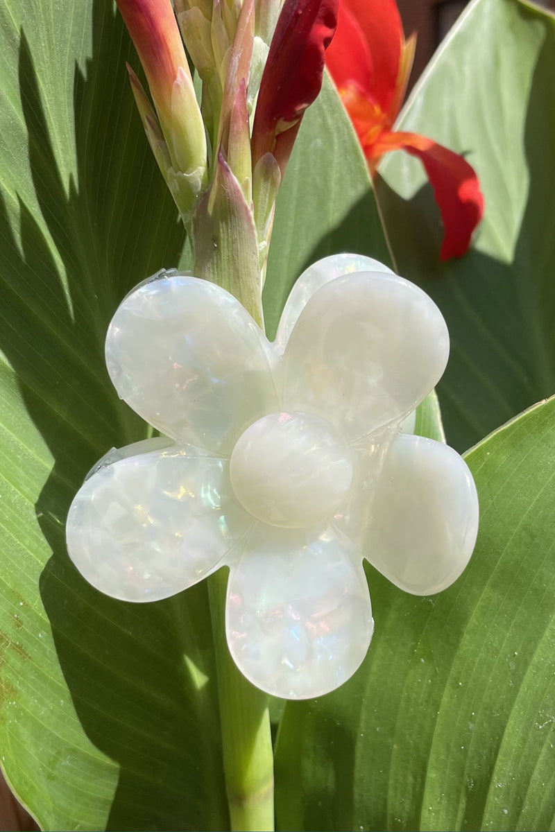 Pop Flower Hair Claw