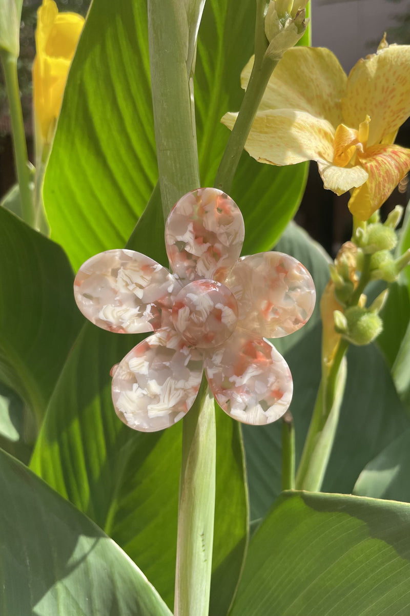 Pop Flower Hair Claw