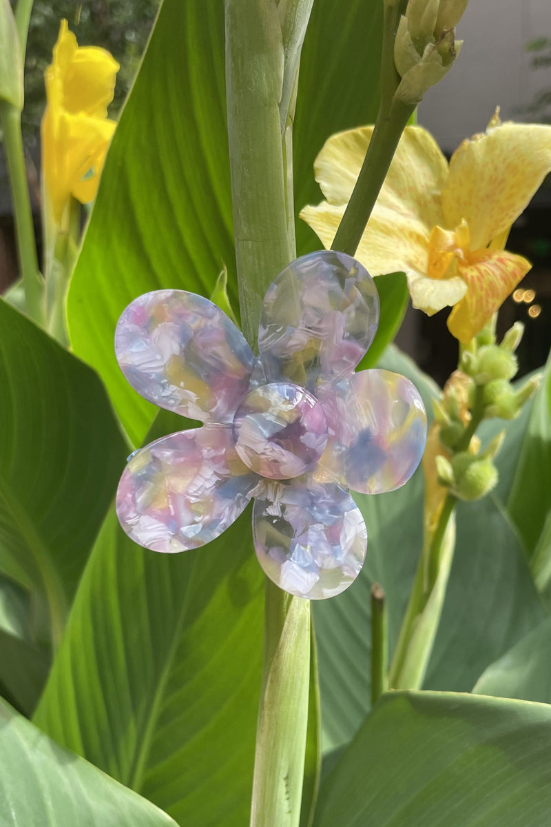 Pop Flower Hair Claw
