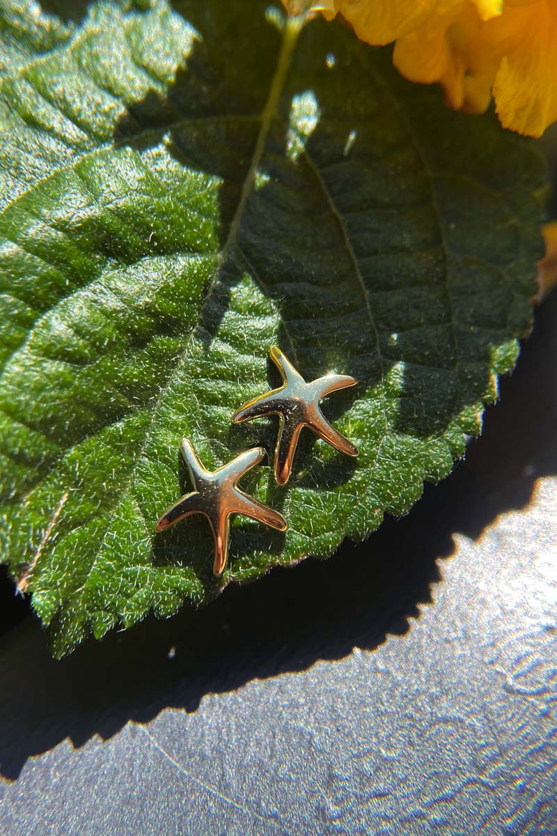 Starfish Earrings