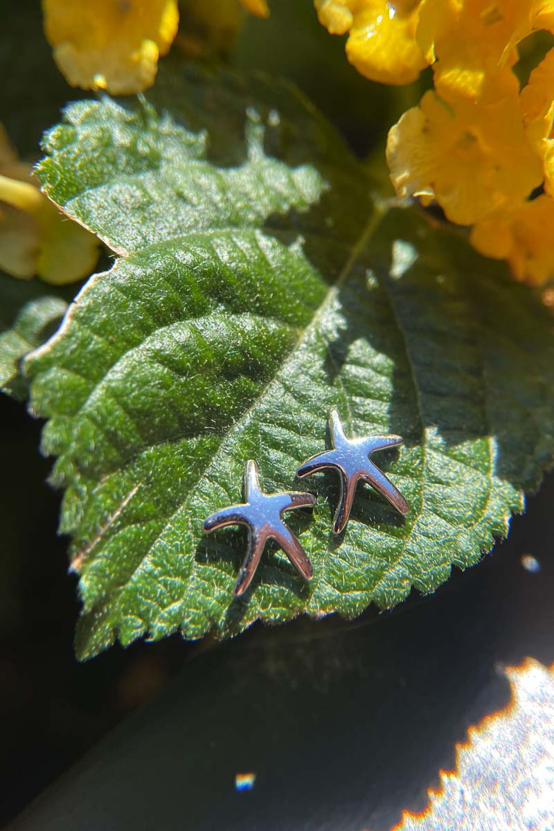 Starfish Earrings