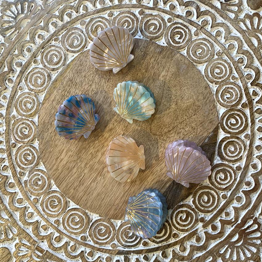 Shell Hair Claw