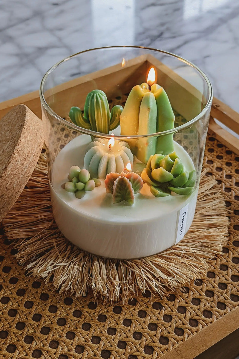 Terrarium 3-Wick Candle