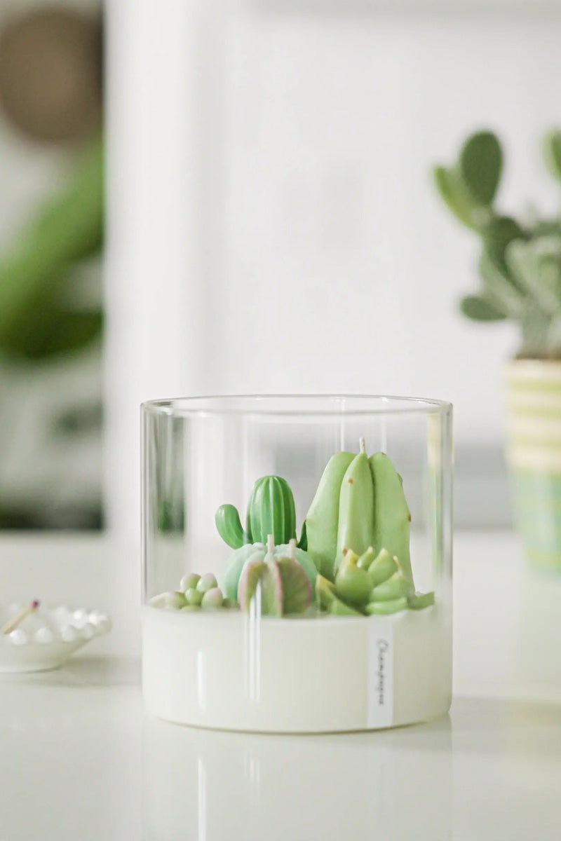 Terrarium 3-Wick Candle