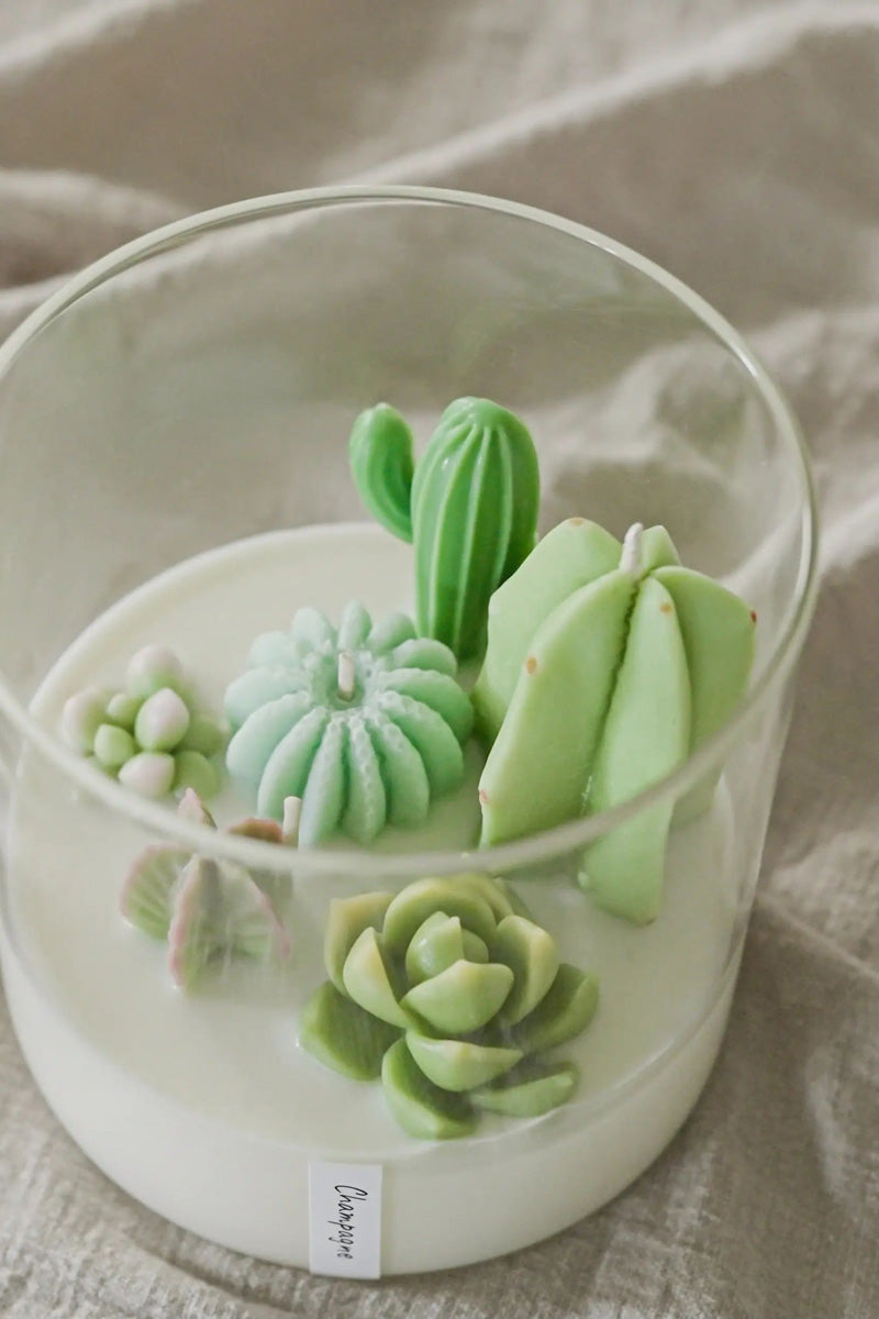 Terrarium 3-Wick Candle